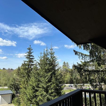 Apartman Pod Smrekom Demaenovska Dolina Buitenkant foto