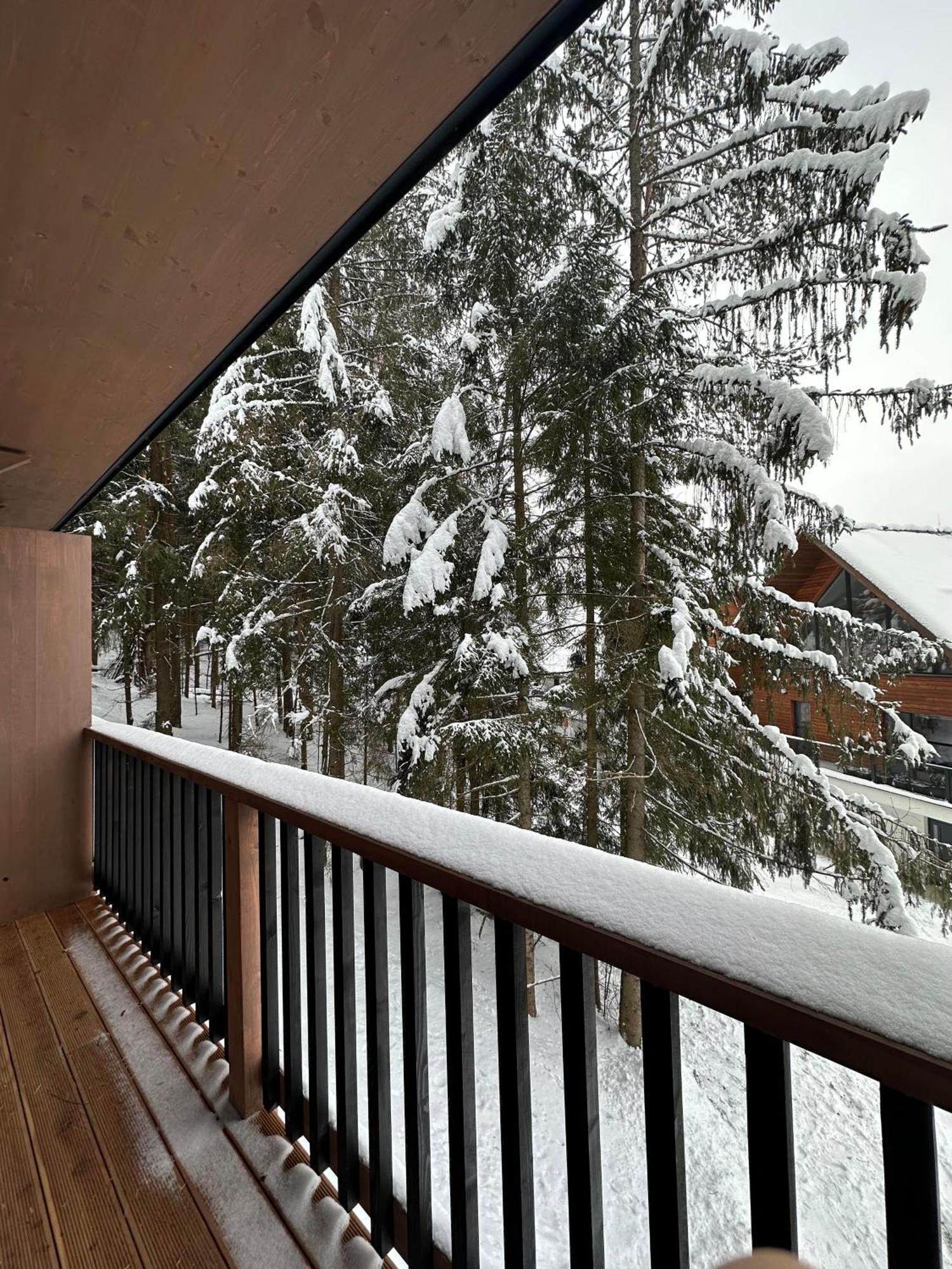 Apartman Pod Smrekom Demaenovska Dolina Buitenkant foto